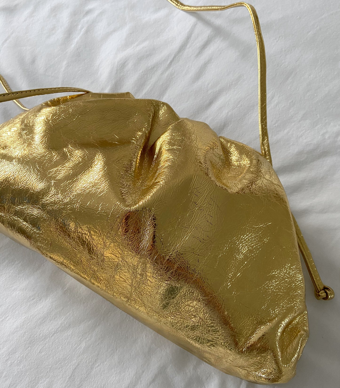 Grand Gali Metallic Cloud Bag